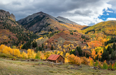 Wall Mural - Golden Autumn Aspen on Scenic Drive -  Last Dollar Road near Telluride Colorado - Rocky Mountains