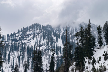  Winter Wonderland In Himachal Pradesh