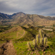 Cactus, mountains and valleys near Vicuña Vicuna city. Elqui Valley in Chile