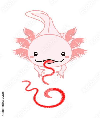 エサを食べるウーパールーパー Axolotl ピンク Adobe Stock でこのストックイラストを購入して 類似のイラストをさらに検索 Adobe Stock
