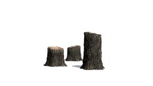 Tree Stump Cluster With Shadow - Isolated On A White Background