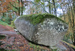 Forêt de Huelgoat dans le Finistère en Bretagne à l'automne, forêt de légendes, 