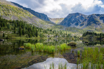  beautiful summer landscape in the Altai mountains overlooking the lake
