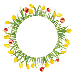 Wall Mural - Circular floral frame made of beautiful red and yellow tulips on long stems with green leaves. Isolated on white background. Bright spring mockup.