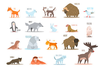 Poster - Set of Arctic and Antarctic animals. Fox, wolf, rabbit, penguin, sable, walrus, bear, husky, musk ox, tern, elephant seal, owl, deer, lynx, snow leopard. Flat vector design