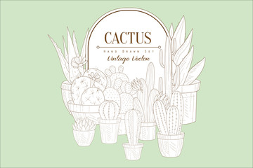 Wall Mural - Original vintage sketch with different types of cactuses in pots. Frame with place for text. House plants. Botany or gardening theme. Vector design for poster or card