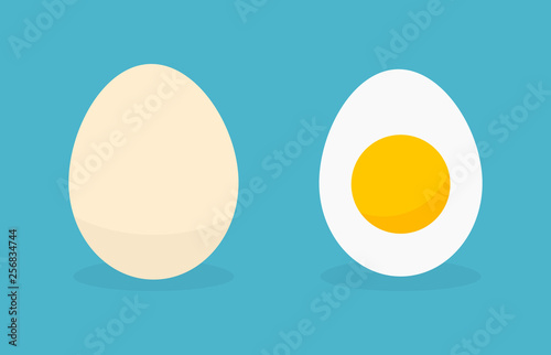 Fotografía Egg in shell and boild egg icons.