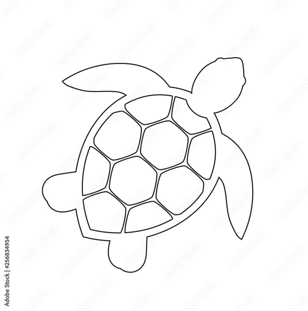 Sea turtle line icon Stock Vector | Adobe Stock sea-turtle-line-icon-stock-vector-adobe-stock