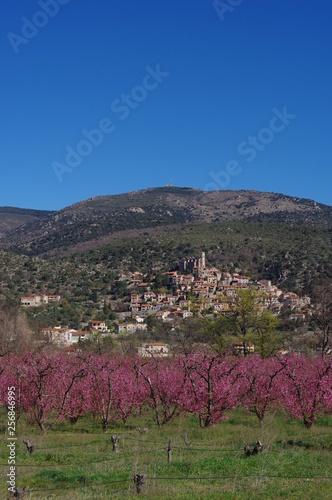 Village De Montagne Des Pyrénées Orientales De Eus Et Arbre