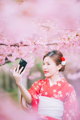 Wall Mural - Asian woman wearing kimono using smartphone with cherry blossoms,sakura in Japan.