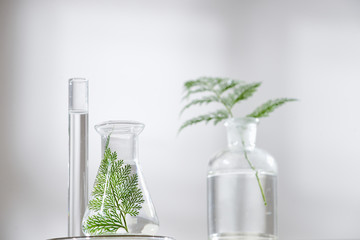 Wall Mural - cosmetic nature skincare and essential oil aromatherapy .organic natural science beauty product .her