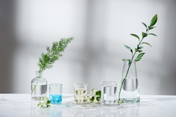 Wall Mural - laboratory experiment and research with leaf, oil and ingredient extract for natural beauty and organic skincare product the blank bottle for label ,bio science concept. alternative medicine. spa.