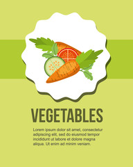 Poster - fresh vegetables carrot tomato cucumber healthy food