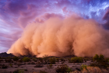 Wall Mural - haboob dust storm in the desert