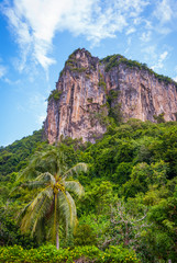 Wall Mural - Famous Phatthalung rock