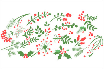Poster - Flat vectoe sof natural decorative elements. Red rowan berries, branches of fir, green leaves and other blossoming plants. Design for greeting card