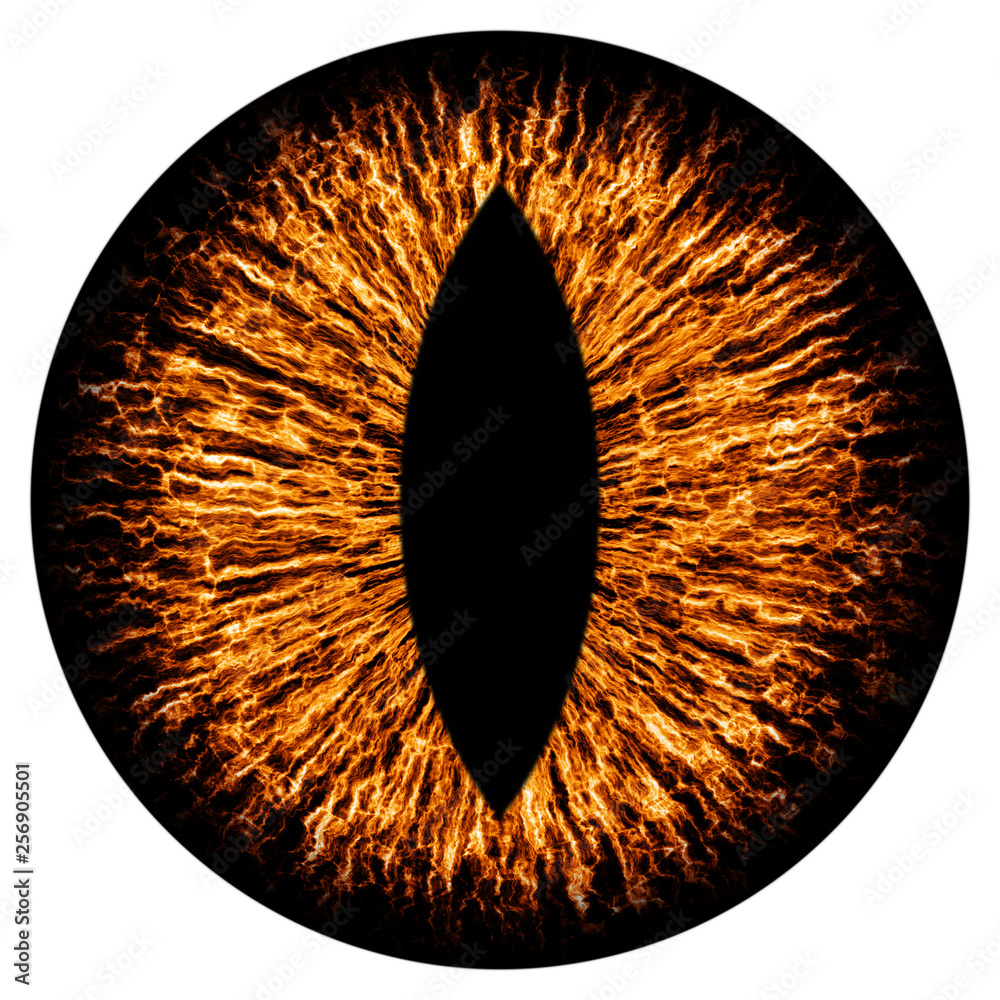 Robots of Evil Mechanical Animals Such As Bears, Seals, Boars, Foxes, and  Eagles with a Gray Background. Modern Cartoon Stock Illustration -  Illustration of design, bear: 316752785, image size:1000x1000