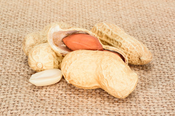 Wall Mural - Peanuts. Real whole nuts with kernels on jute burlap background. Peanut macro close up. Full depth of field.