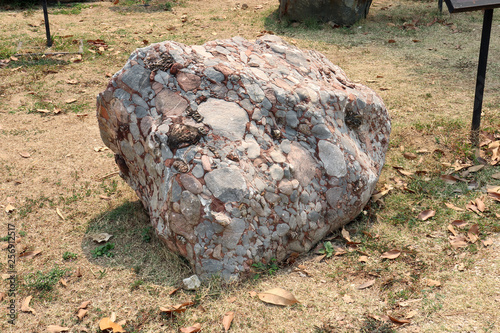 Fotomural Natural specimen of conglomerate - sedimentary rock composed of rounded or sub-rounded gravel and pebbles cemented by calcium carbonate on ground field