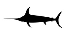 Atlantic Swordfish,vector Illustration , Black Silhouette