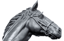Head Of Gray Horse Statue