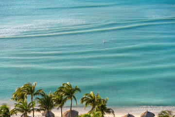 Wall Mural - Typical beach with coconut palms and palm leaf umbrellas to protect yourself from the sun. Palm beach. Aruba