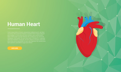 human heart template wallpaper background design concept with free space for text - vector illustration