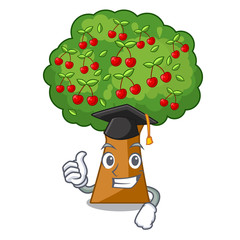 Sticker - Graduation cherry tree isolated in the mascot