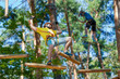 Young male man adult wears protective helmet with action camera having fun in extreme rope park, amusement park. Climbing in rope bridge at green forest. Active healthy lifestyle in spring or summer.