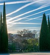 The blue skies over Madrid, Spain, lined with white clouds left by airplanes flying over the city in the early morning, framed by 4 trees.