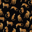 leopard pattern illustration