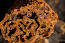 Close Up Of The Inside Of A Red Termite Mound, Northern Territory, Australia