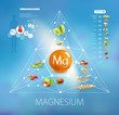 Magnesium. Foods with the highest magnesium content.