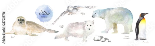 Fotomural Watercolor illustrations of polar northern animals: seal, white owl, arctic fox,