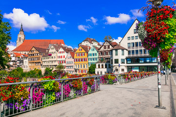 Wall Mural - Beautiful places of Germany - colorful floral town Tubingen (Baden-wurttemberg region)