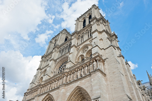 Plakat Katedra Notre-Dame (Cathedrale Notre-Dame de Paris) jesienią. Paryż, Francja