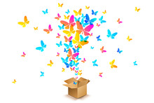 Butterflies From Open Cardboard Box