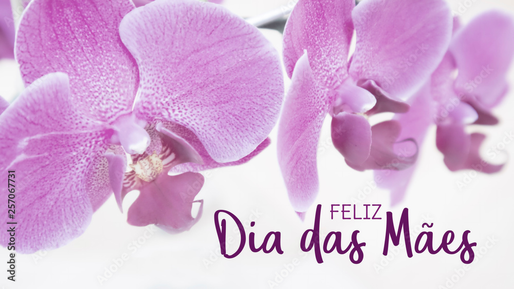 Happy Mother's day in Portuguese. Feliz dia das maes with orchids. Soft colors background. Selective focus.
