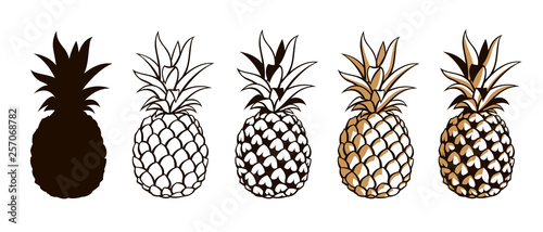 Fotografía collection of pineapple tropical fruits isolated on white background