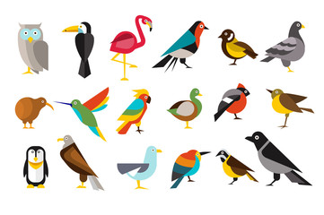 Wall Mural - various bird set colorful vector illustrations