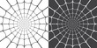 © Pure Imagination - Vector illustration of spider web