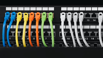 Poster - Closeup of  colored computer network cables  connected to a  switch