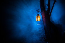 Beautiful Colorful Illuminated Lamp In The Garden In Misty Night. Retro Style Lantern At Night Outdoor.