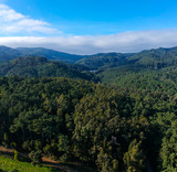 Fototapeta Las - Aerial view from a mountain covered by trees.