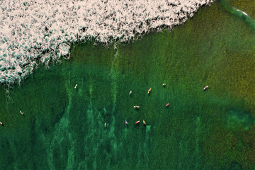 Oahu - Hawaii aus der Luft - Surfer, Wellen und Meer Luftbilder mit DJI Mavic 2 Drohne