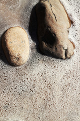 sea white foam and two stones similar to animal heads