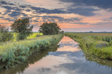 Wall Mural - Canal in agricultural landscape