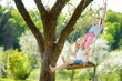 © MNStudio - Two cute sisters having fun on a swing in blossoming old apple tree garden outdoors on sunny spring day.