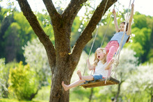 Two Cute Sisters Having Fun On A Swing In Blossoming Old Apple Tree Garden Outdoors On Sunny Spring Day.