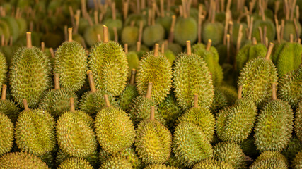 Durian fruit in the market